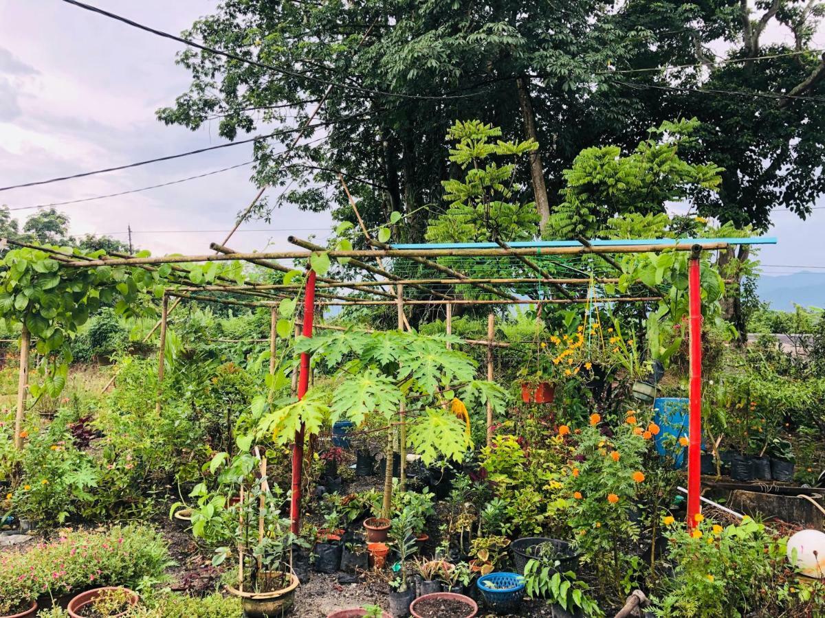 Atocha Homestay - Terong@Taiping Kampong Salak Экстерьер фото